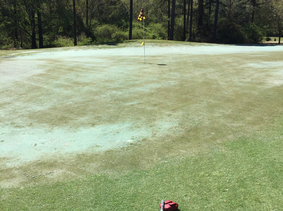 Soldiers Creek Golf Club-Elberta必去景点