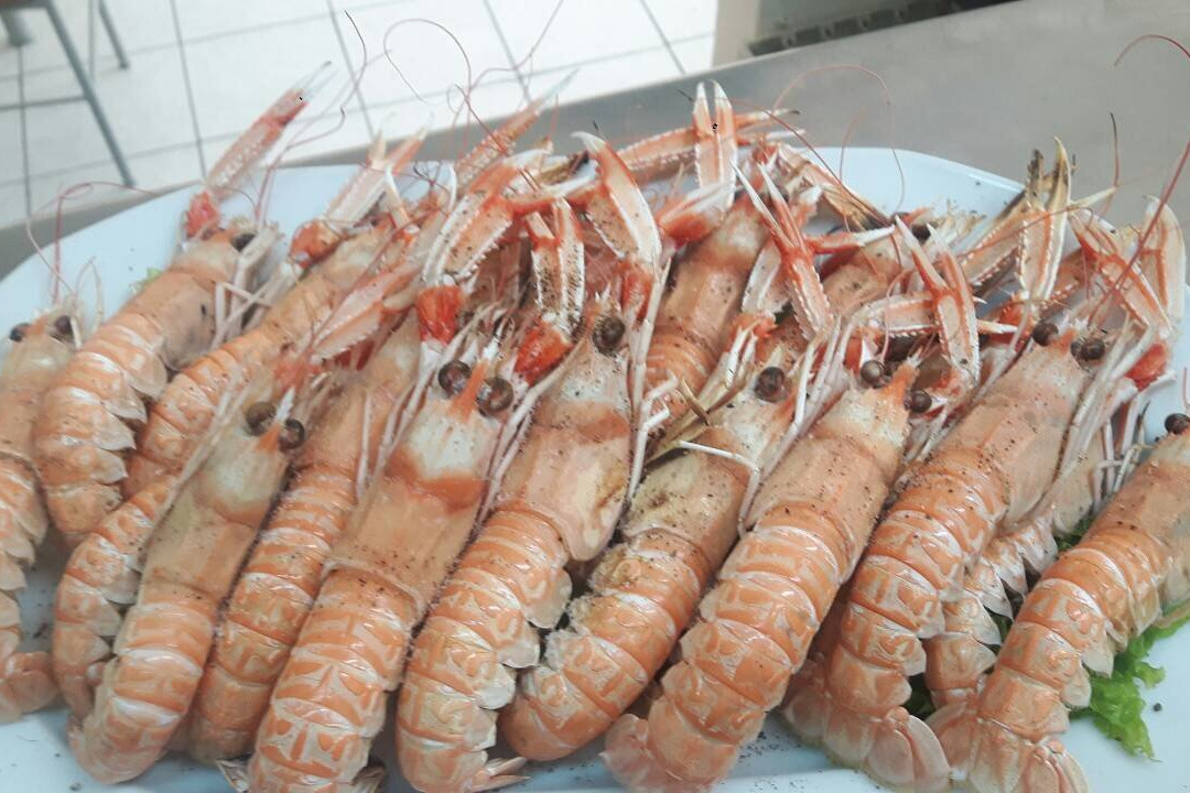 Nea Ionia餐馆和美食-Dyo sto Chalaro