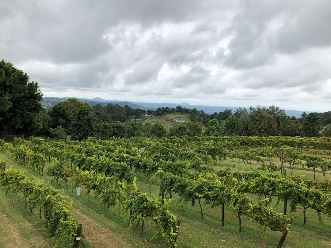 Flame Hill Vineyard主图