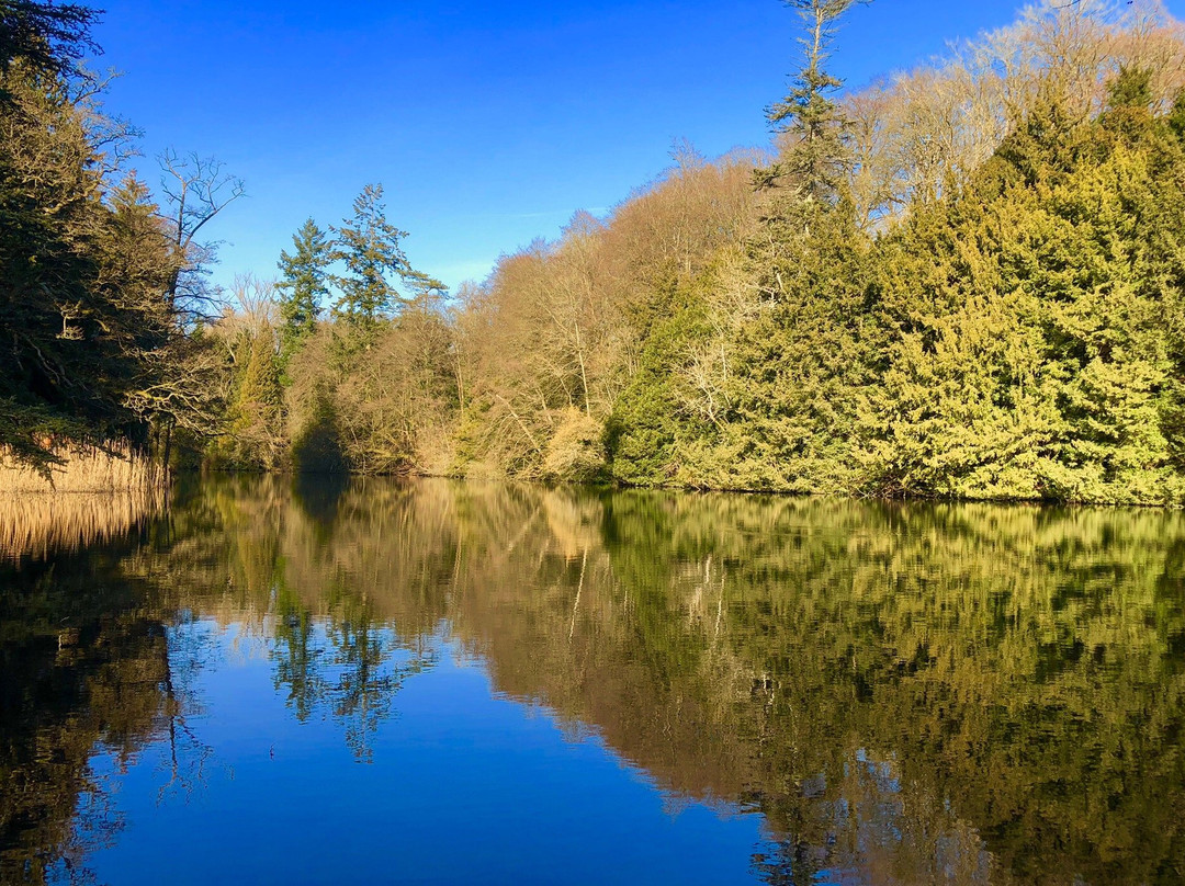 Colesbourne Park景点图片