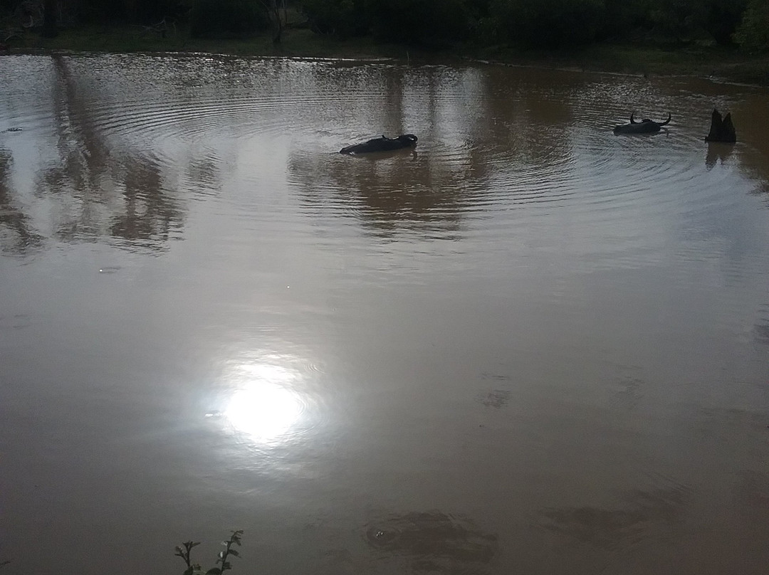 Hema Safari-蒂瑟默哈拉默必去景点