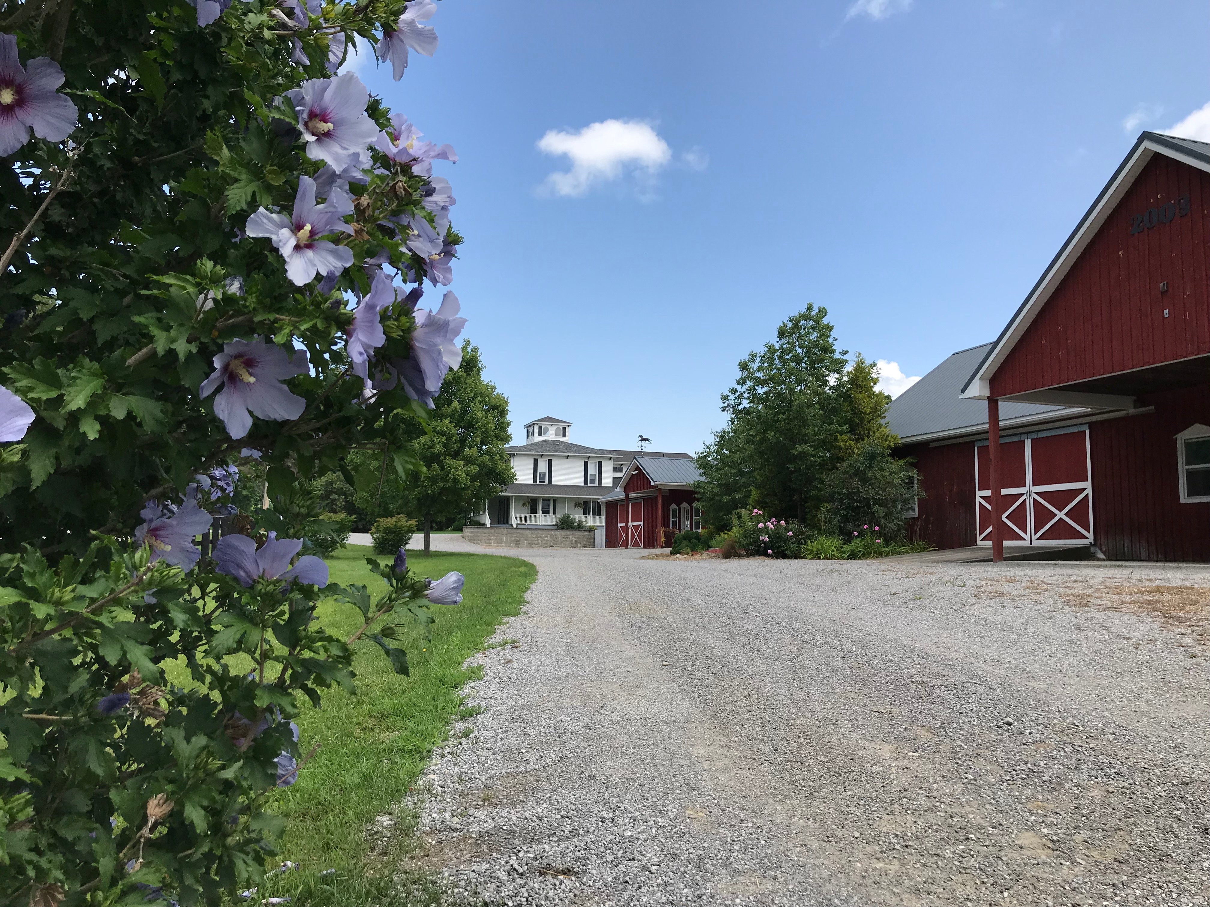 Letchworth Farm-官方