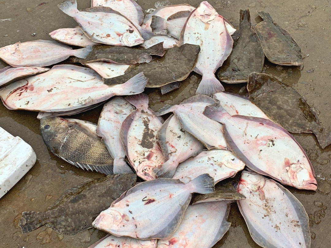 Surrender At Sunrise - Flounder Gigging Trips-Aransas Pass必去景点