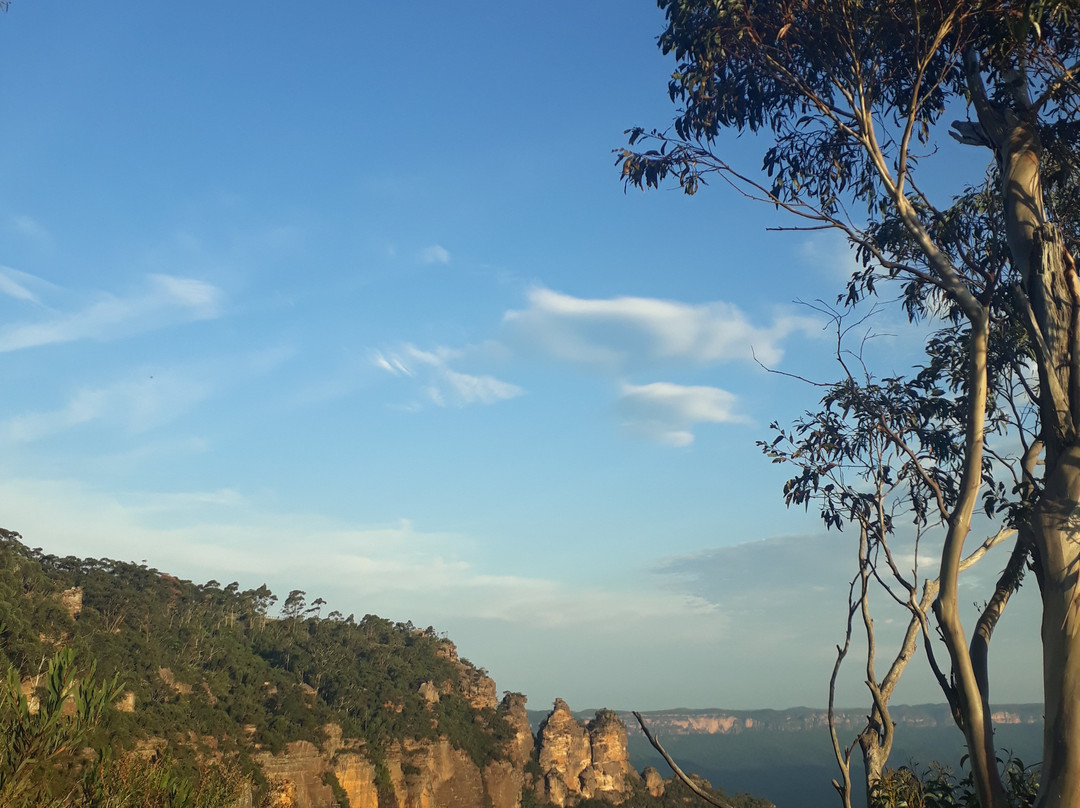 Wildlife Tours Australia-悉尼必去景点