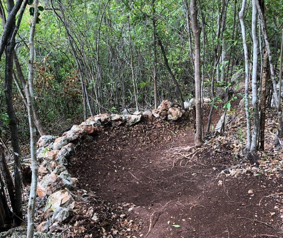 5150/Trails Mountain Bike Tours-Portmore必去景点