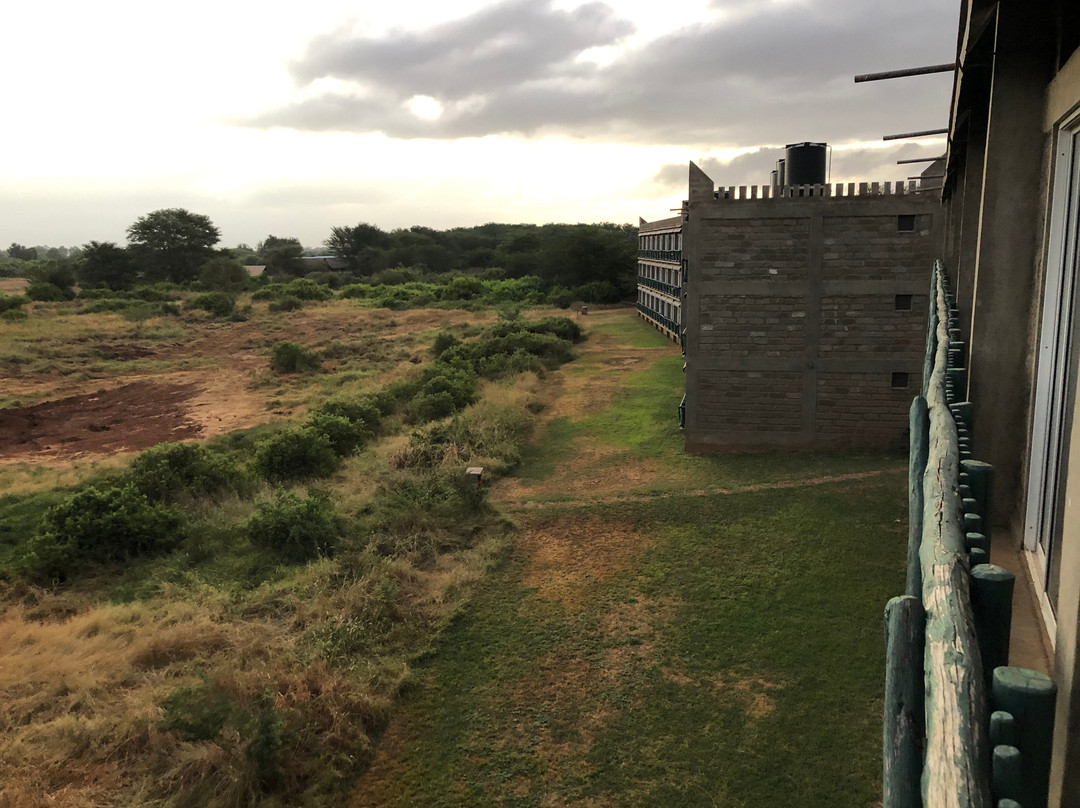 沃伊野生动物山林小屋主图