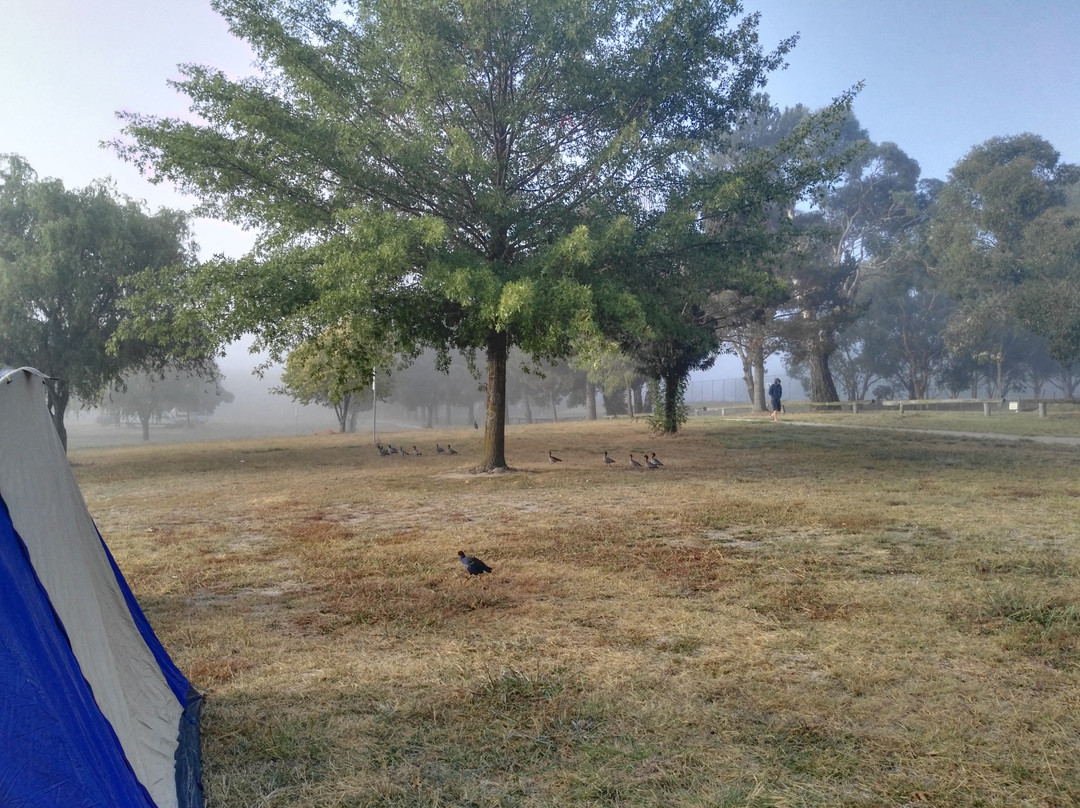 Lake Wallace-Wallerawang必去景点