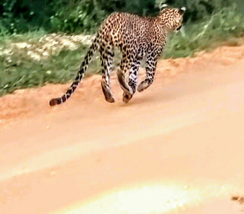 The Rock Hotel主图