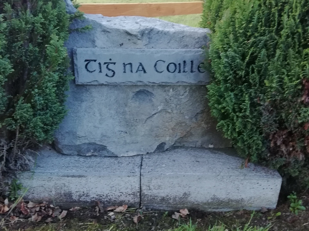 Tig na Coille B&B Country House主图