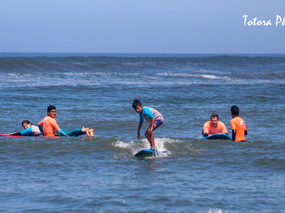 Totora Surf School景点图片