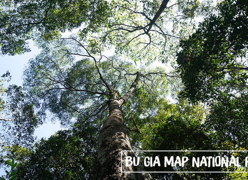 Simple Backpackers-胡志明市必去景点