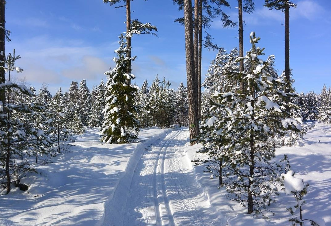Illerns naturreservat-Tranas必去景点