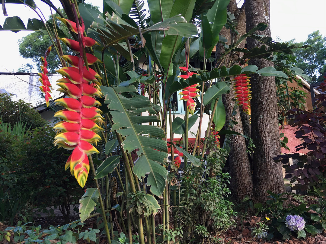 Lawns Hotel Lushoto主图