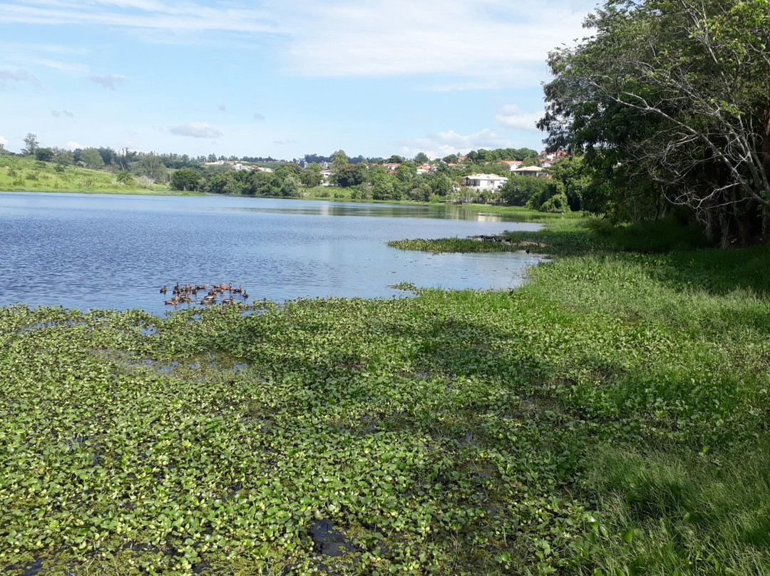 Palmeiras Lake景点图片