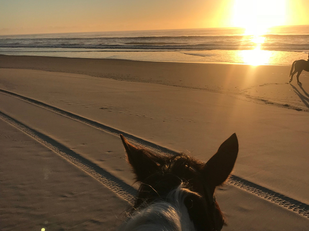 Tassiriki Ranch Beach Horse Riding & Holiday Cabins景点图片