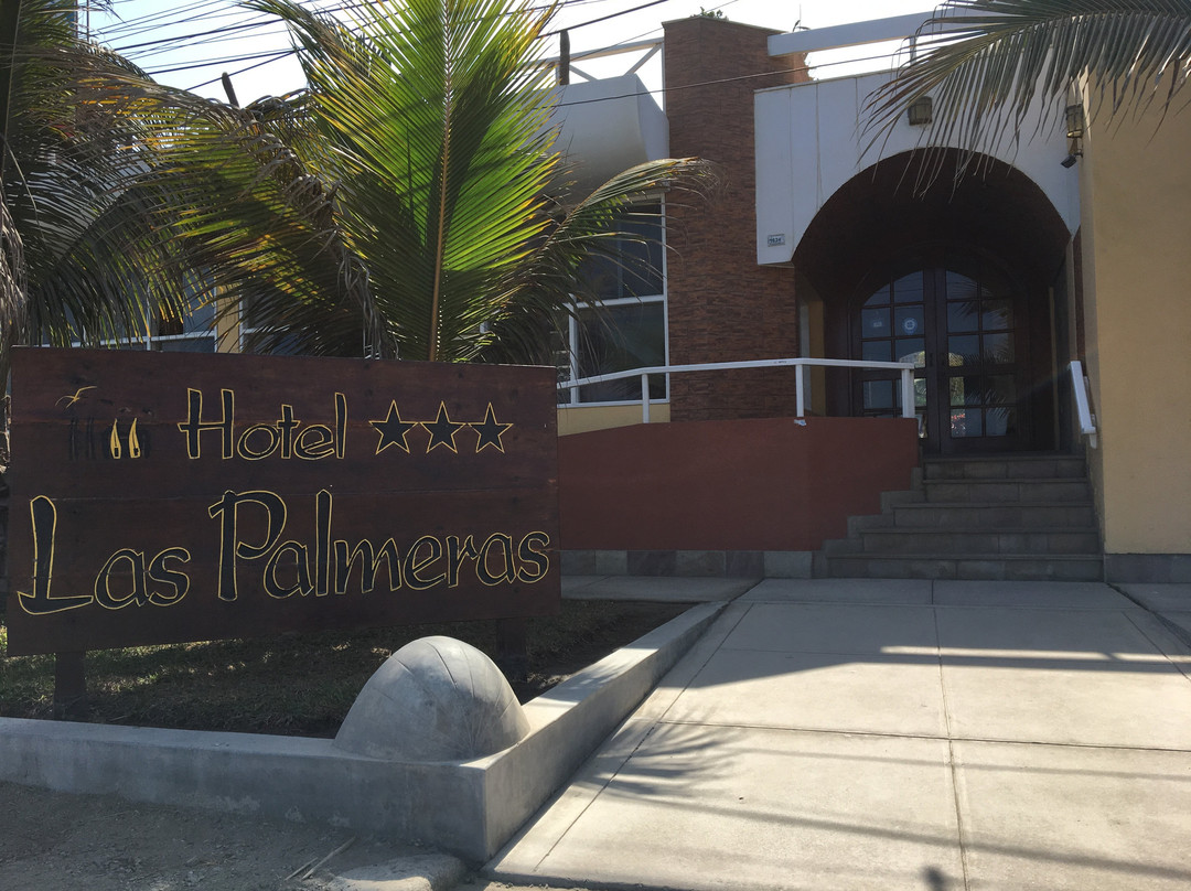 Hotel Las Palmeras主图