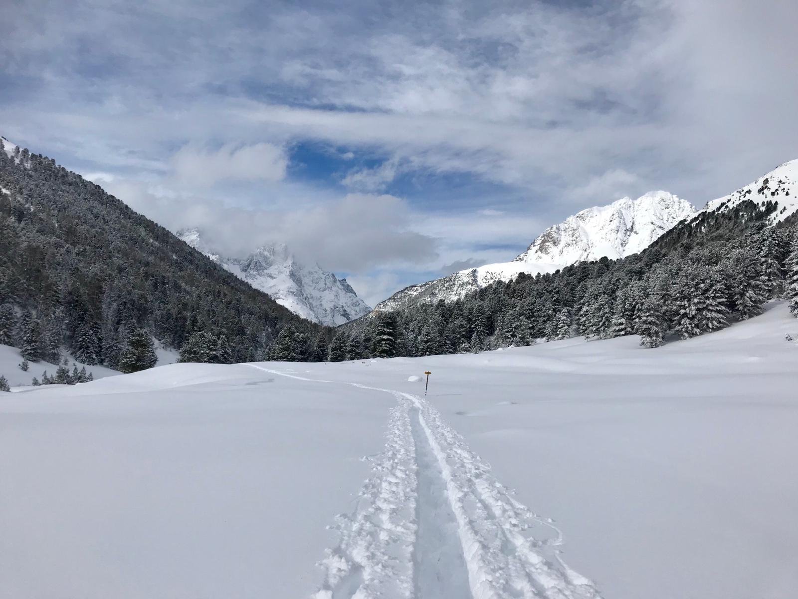 Gasthaus Mayor-官方