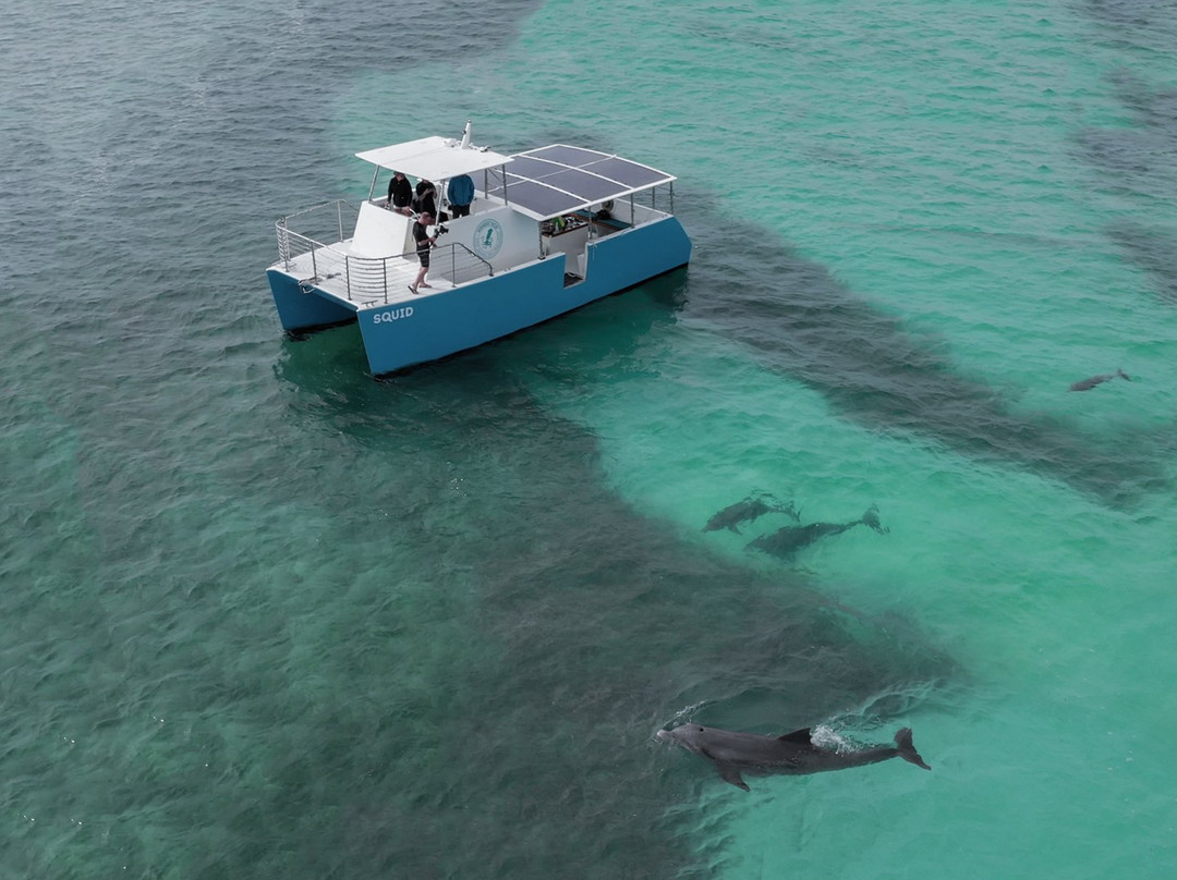 Honest Eco-基韦斯特必去景点