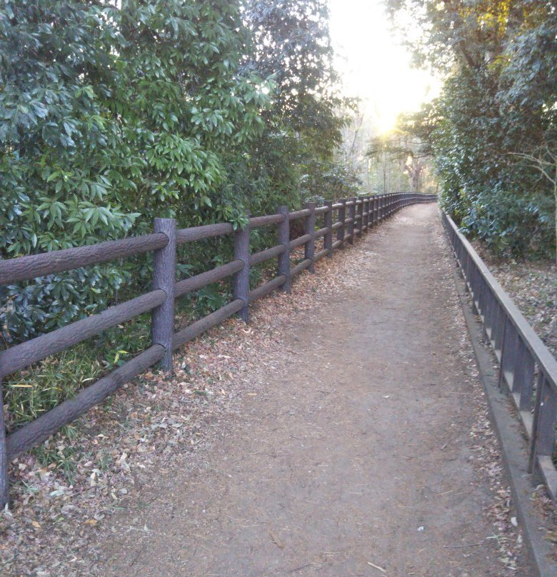 Tamagawa Green Road景点图片