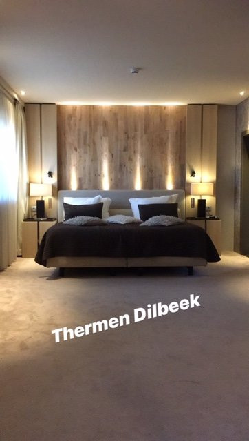Hotel Thermen Dilbeek主图