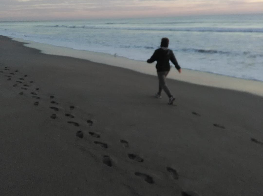 The Resort on Cocoa Beach主图