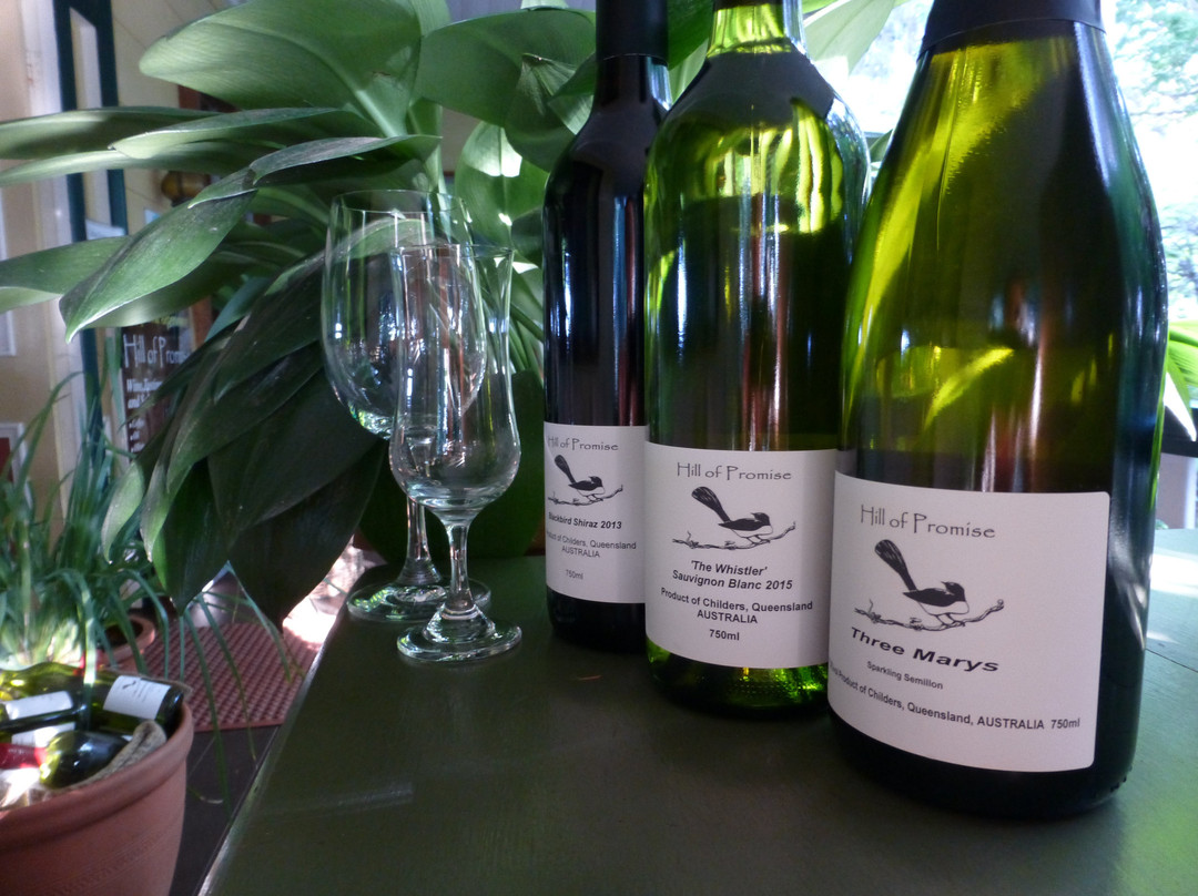 Hill of Promise Estate Winery-Childers必去景点
