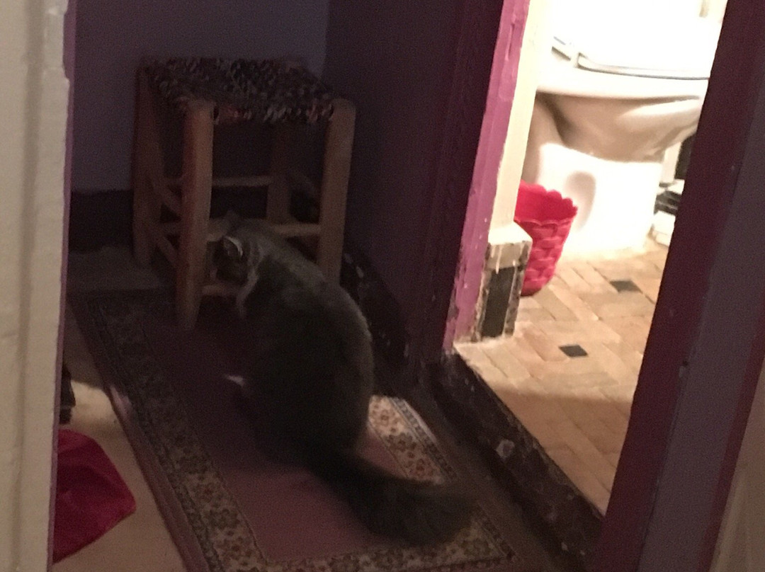 Ait Azzi酒店住宿-Riad Riva