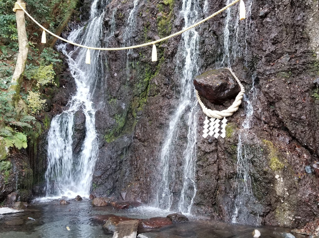 Tamadare Falls / Hien Falls-箱根町必去景点