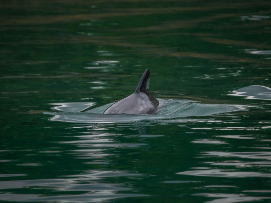 Seno de Reloncaví-蒙特港必去景点