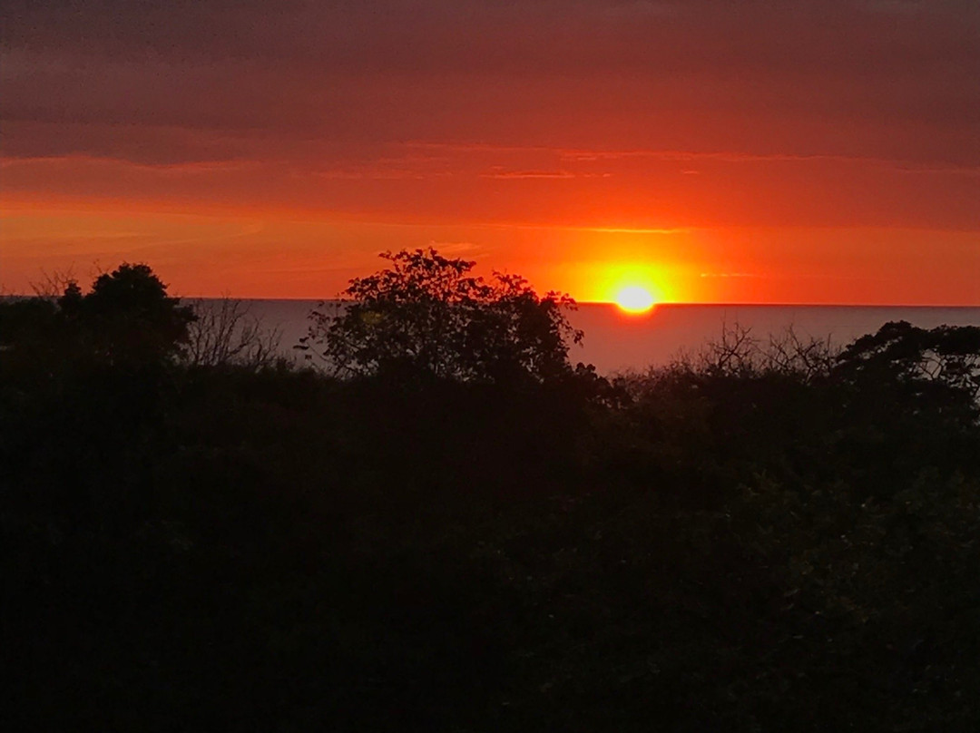 Blue Jay Lodge主图