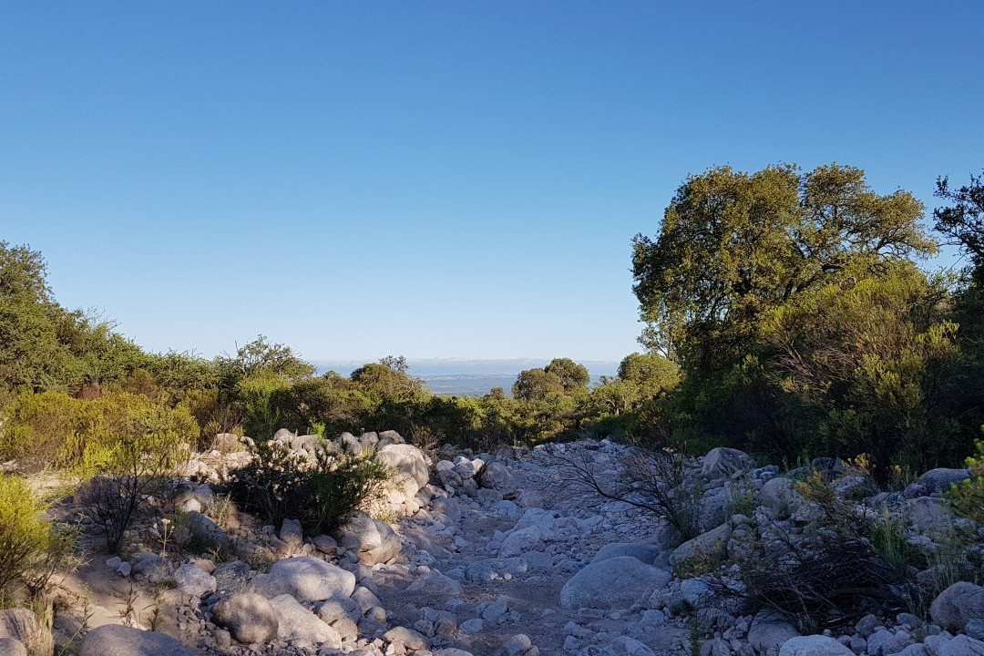 Senderos del Tao主图