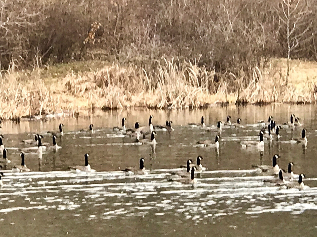 Wyandotte County Lake Park-堪萨斯城必去景点