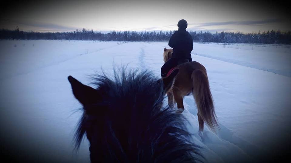 Off-Piste Adventures-Kemijarvi必去景点