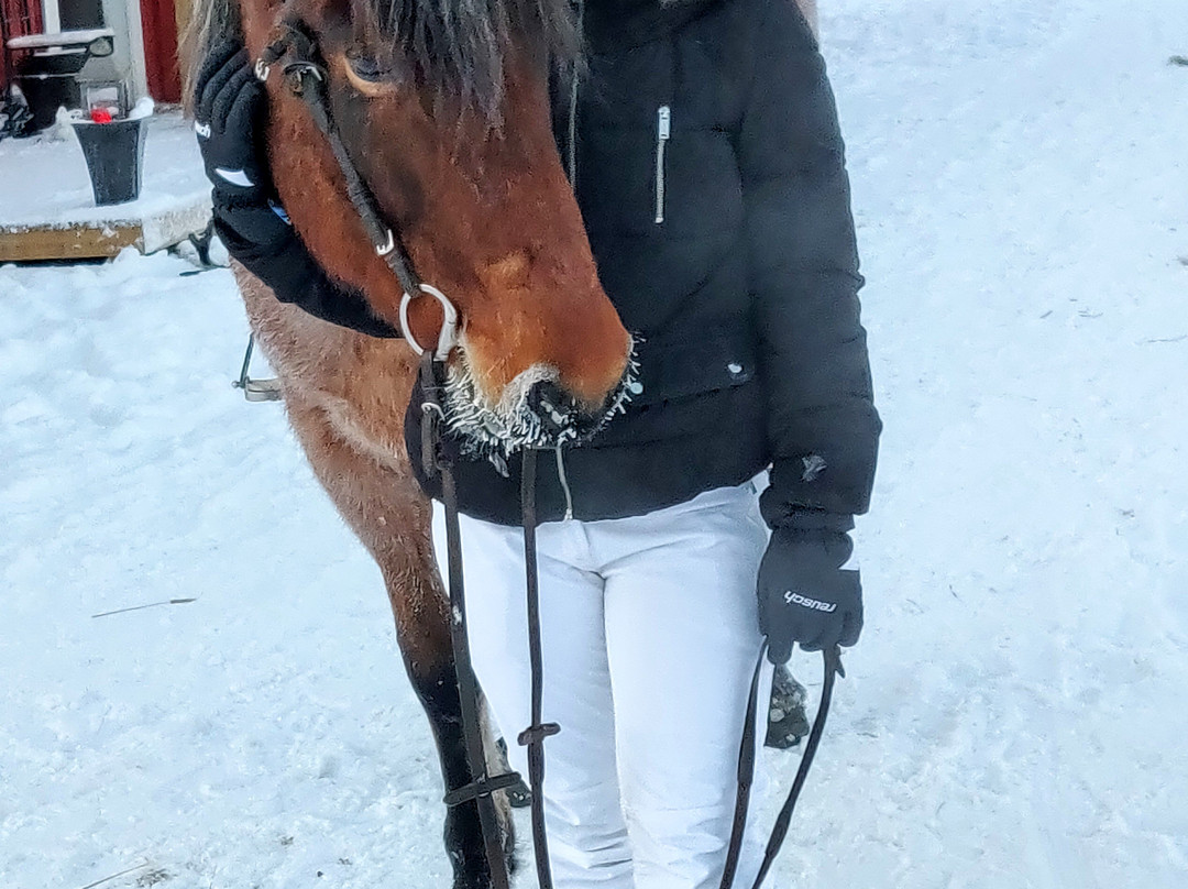 Off-Piste Adventures-Kemijarvi必去景点