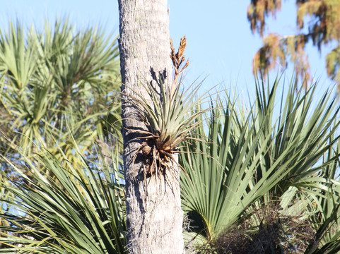 Ten Mile Creek Preserve-匹尔斯堡必去景点