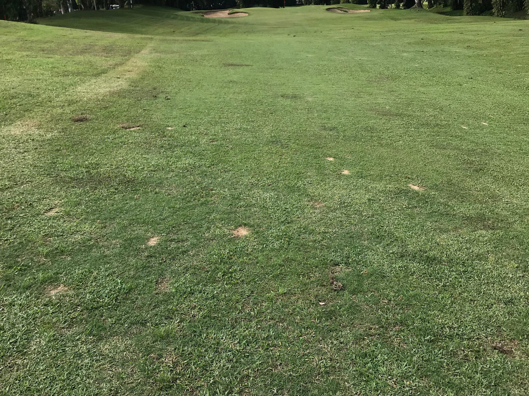 Star Dome Golf Club-清迈必去景点