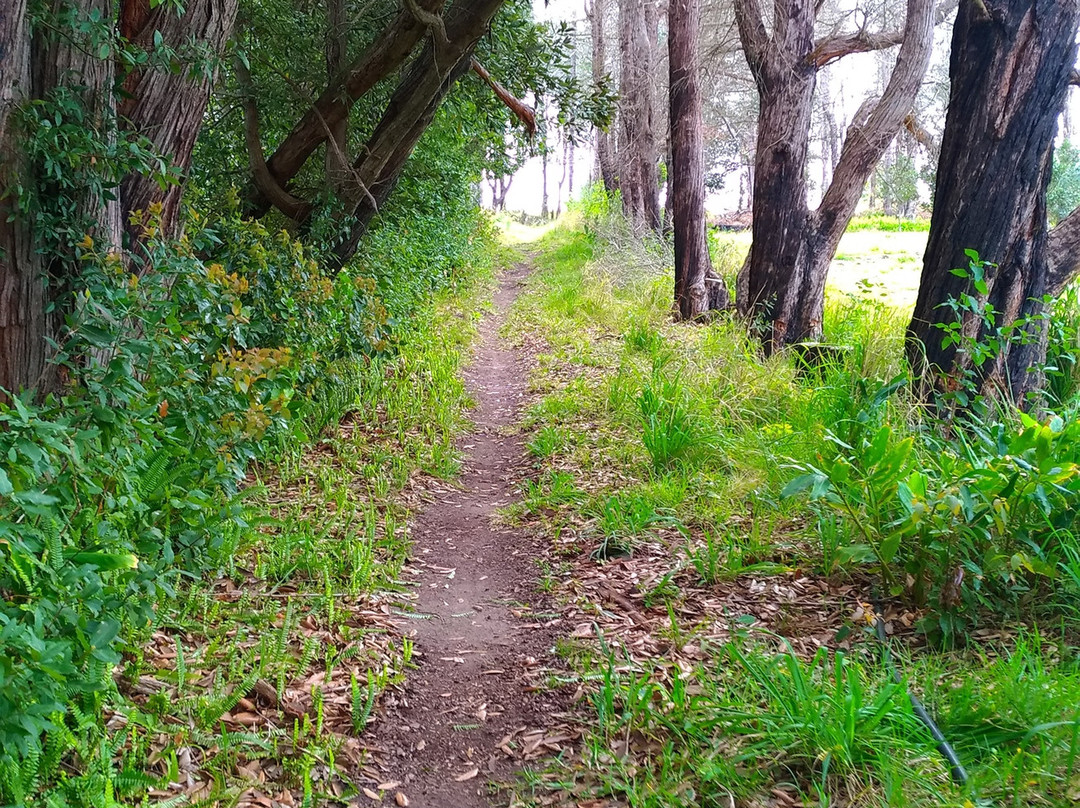 Clearwater Trails-Port Edward必去景点