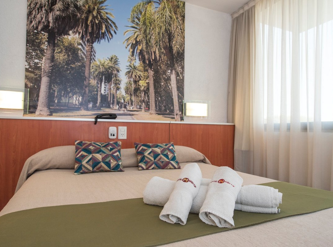 Hotel Necof