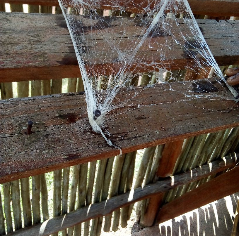 Africa Silks-赫拉斯科普必去景点