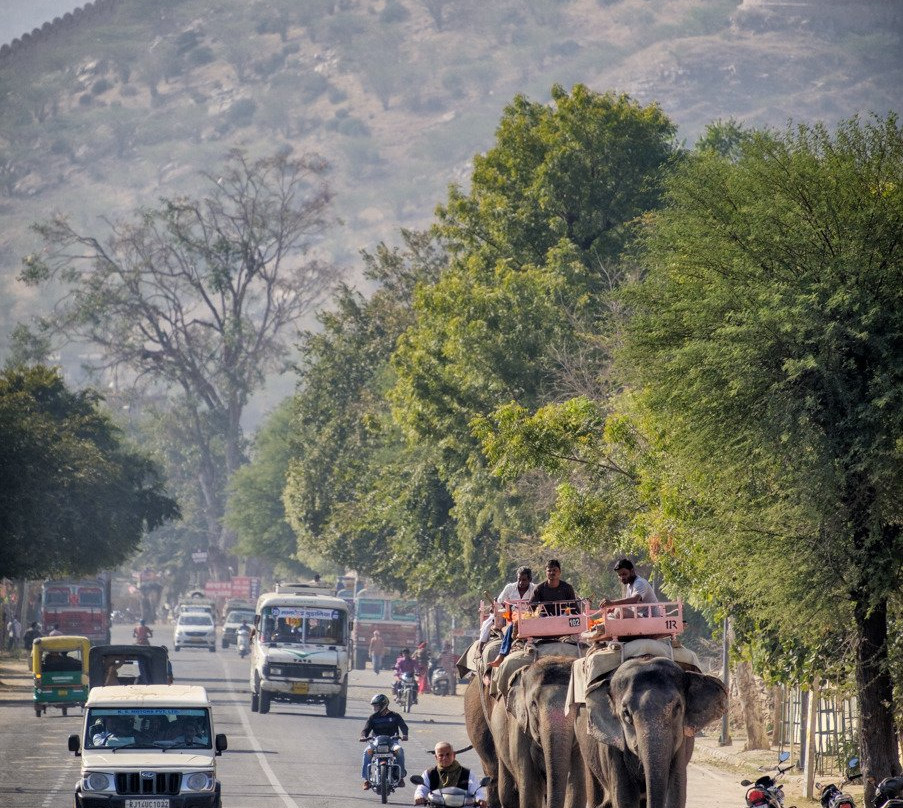 Jaipur Rajasthan Cab Tour-斋蒲尔必去景点