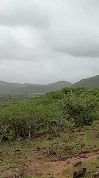 Barda Hills Wildlife Sanctuary-Jamnagar必去景点