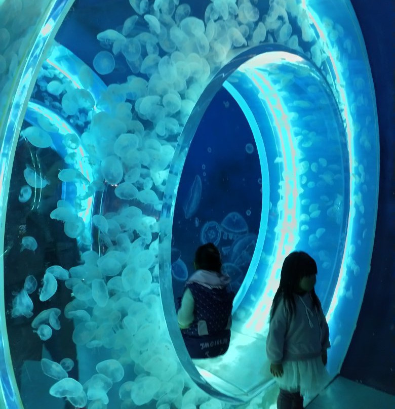 日照海洋公园-日照市必去景点