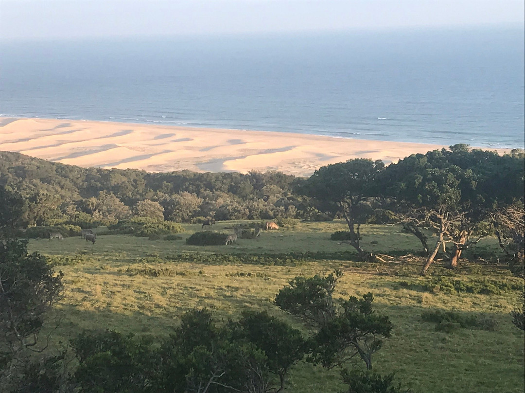 Oceana Beach and Wildlife Reserve主图