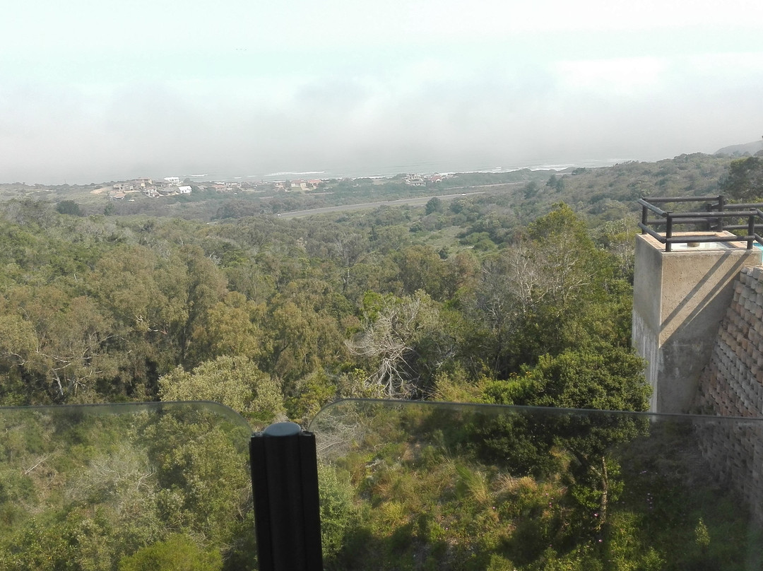 Mosselbos Self Catering主图