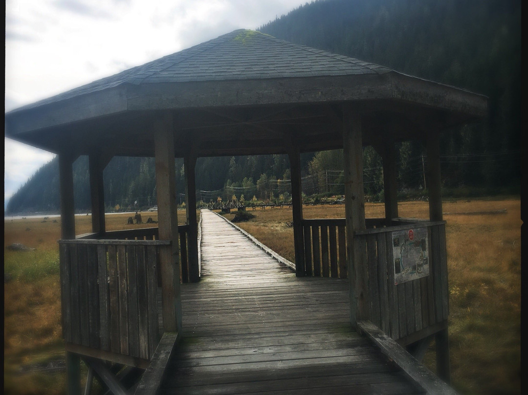 Estuary Boardwalk-Stewart必去景点
