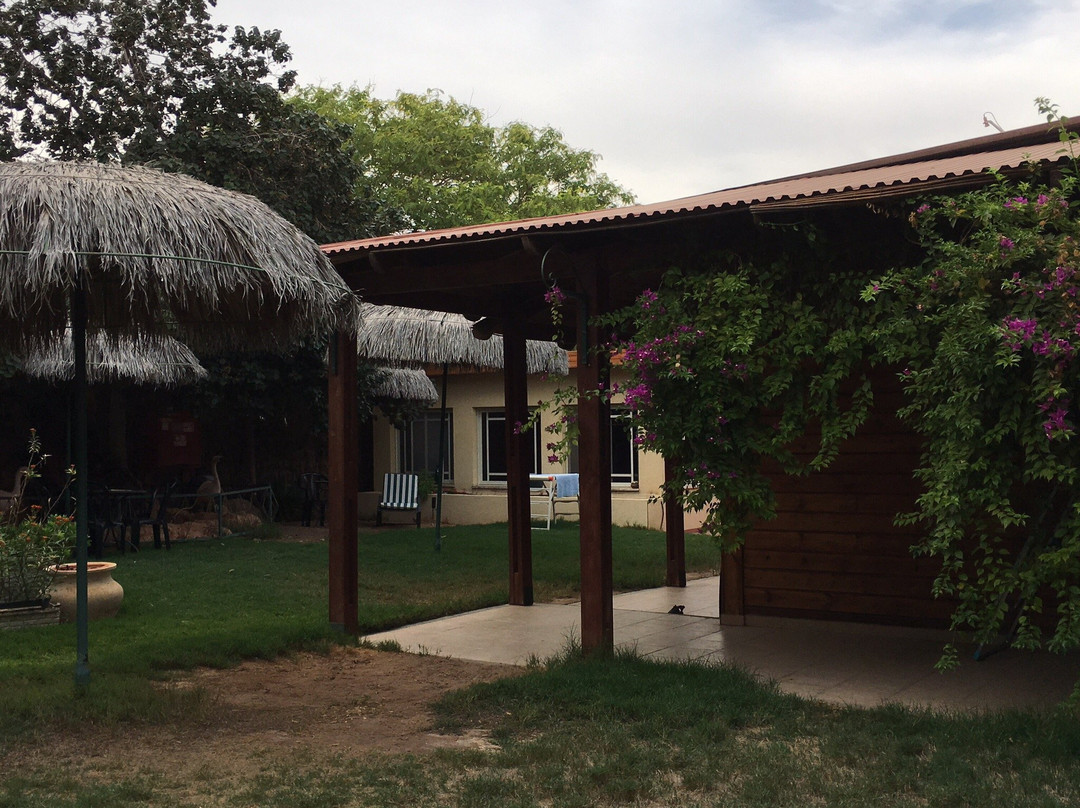 Idan Acher in the Arava