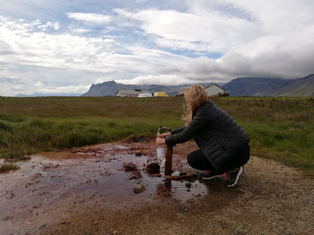 Olkelda Mineral Spring-Snaefellsbaer必去景点