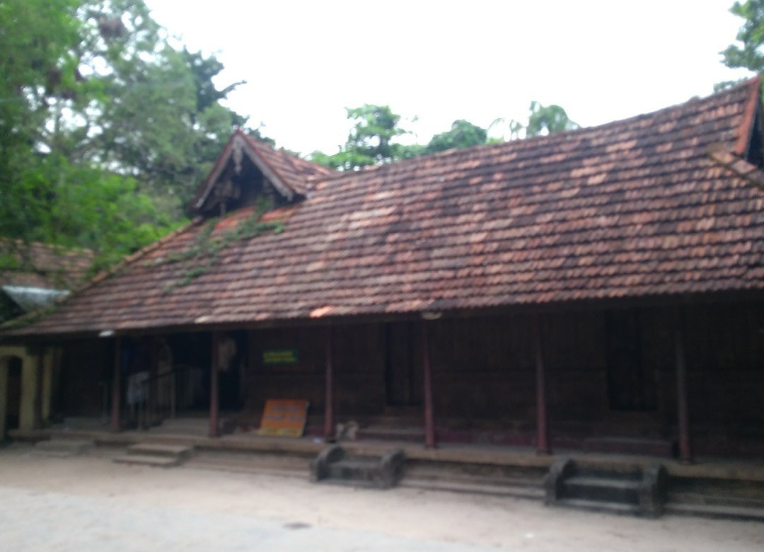 Mannarasala Sree Nagaraja Temple景点图片