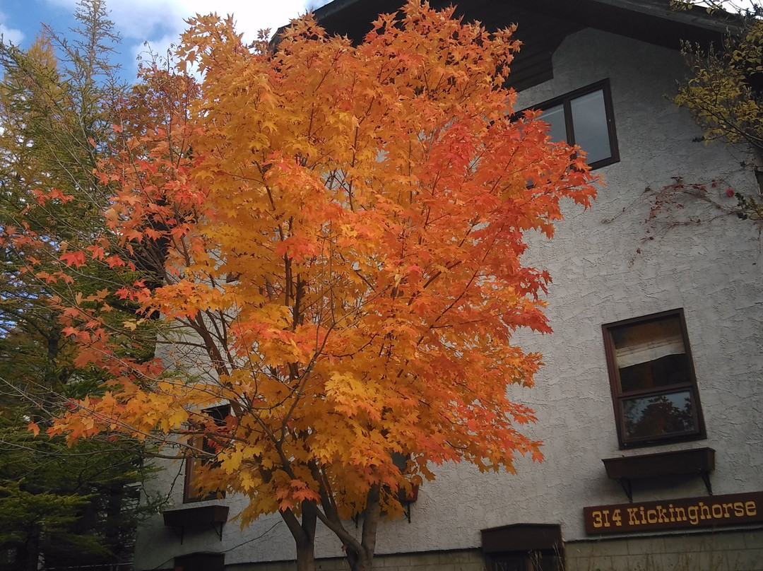 Mt Burgess Guesthouse主图