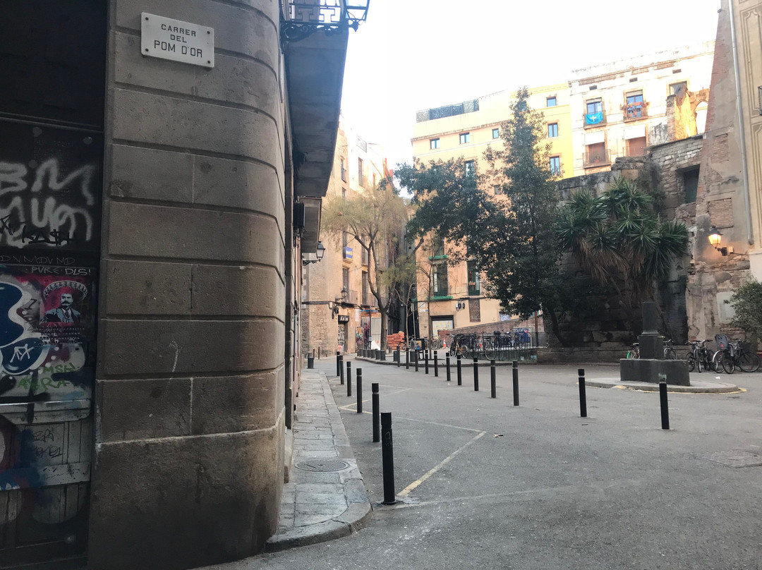 Imanart Barcelona Street Photo Gallery景点图片